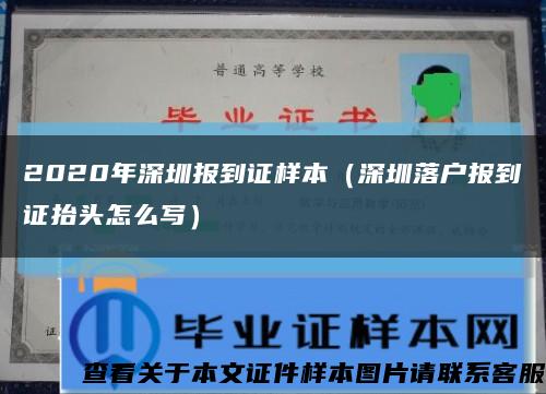 2020年深圳報到證樣本（深圳落戶報到證抬頭怎么寫）縮略圖
