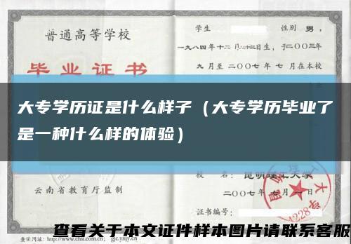 大專學歷證是什么樣子（大專學歷畢業了是一種什么樣的體驗）縮略圖