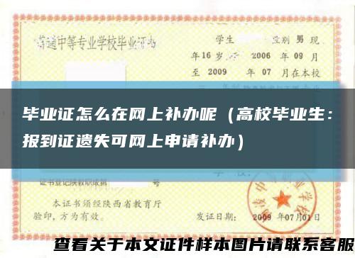 畢業證怎么在網上補辦呢（高校畢業生：報到證遺失可網上申請補辦）縮略圖