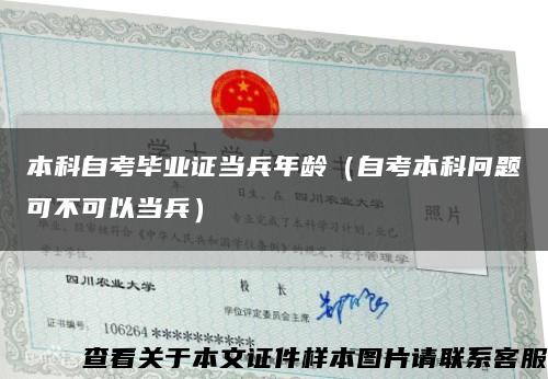 本科自考畢業證當兵年齡（自考本科問題可不可以當兵）縮略圖