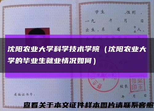 沈陽農業大學科學技術學院（沈陽農業大學的畢業生就業情況如何）縮略圖