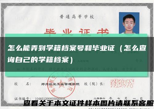 怎么能弄到學籍檔案號和畢業證（怎么查詢自己的學籍檔案）縮略圖