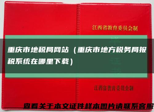 重慶市地稅局網站（重慶市地方稅務局報稅系統在哪里下載）縮略圖