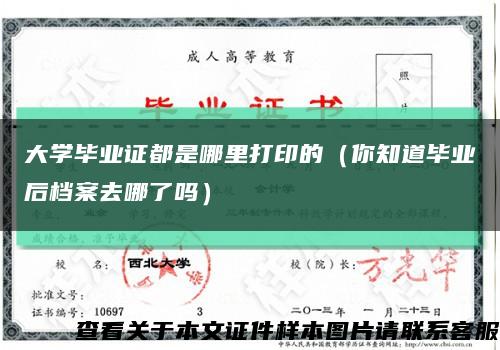 大學畢業證都是哪里打印的（你知道畢業后檔案去哪了嗎）縮略圖