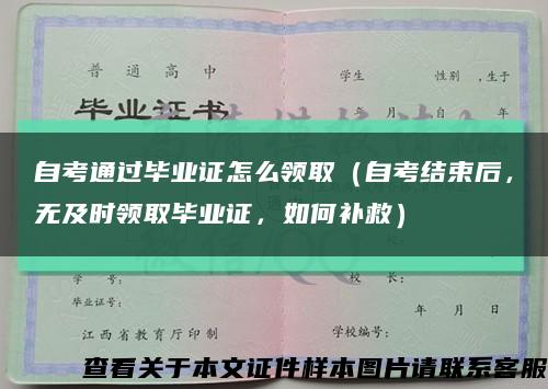 自考通過畢業證怎么領?。ㄗ钥冀Y束后，無及時領取畢業證，如何補救）縮略圖