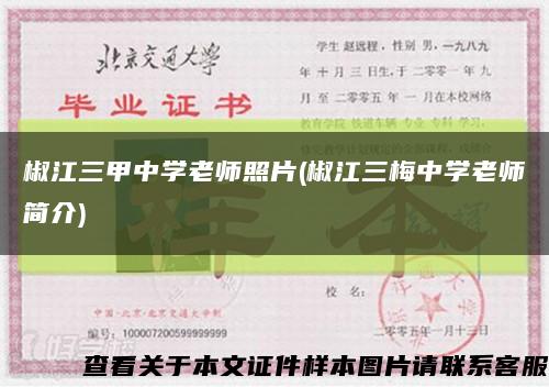 椒江三甲中學老師照片(椒江三梅中學老師簡介)縮略圖