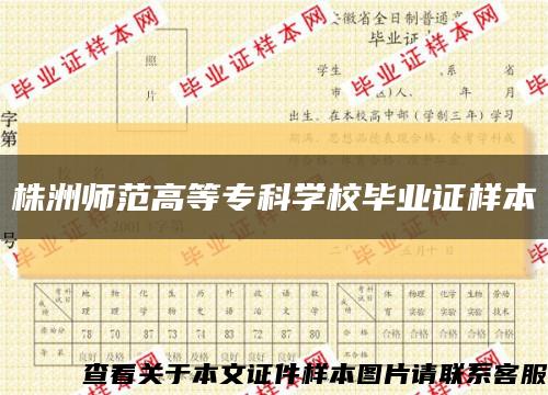 株洲師范高等?？茖W校畢業證樣本縮略圖
