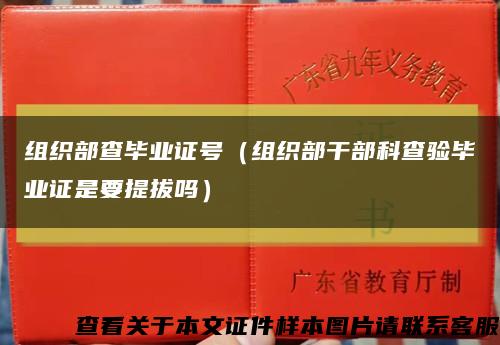 組織部查畢業證號（組織部干部科查驗畢業證是要提拔嗎）縮略圖