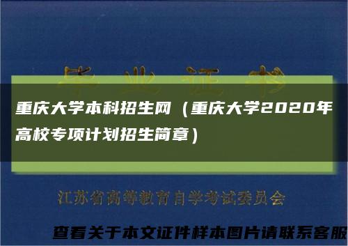 重慶大學本科招生網（重慶大學2020年高校專項計劃招生簡章）縮略圖