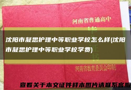沈陽市凝思護理中等職業學校怎么樣(沈陽市凝思護理中等職業學校學費)縮略圖