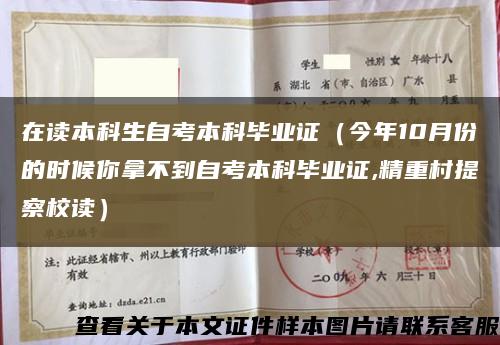 在讀本科生自考本科畢業證（今年10月份的時候你拿不到自考本科畢業證,精重村提察校讀）縮略圖