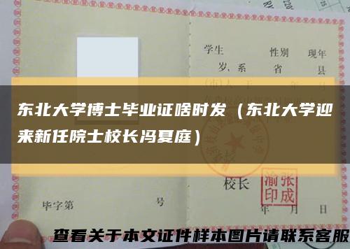 東北大學博士畢業證啥時發（東北大學迎來新任院士校長馮夏庭）縮略圖