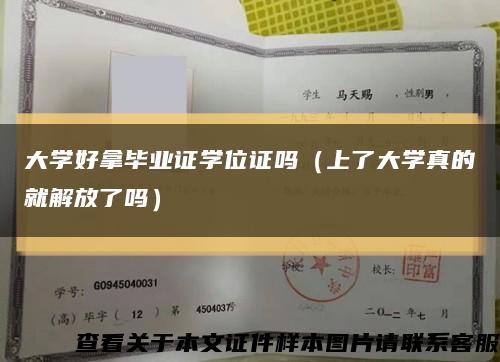 大學好拿畢業證學位證嗎（上了大學真的就解放了嗎）縮略圖