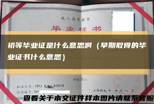 初等畢業證是什么意思?。ㄔ缙谌〉玫漠厴I證書什么意思）縮略圖