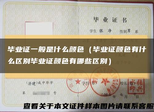 畢業證一般是什么顏色（畢業證顏色有什么區別畢業證顏色有哪些區別）縮略圖