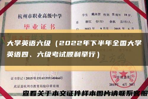 大學英語六級（2022年下半年全國大學英語四、六級考試順利舉行）縮略圖