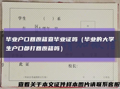 畢業戶口回原籍查畢業證嗎（畢業的大學生戶口都打回原籍嗎）縮略圖