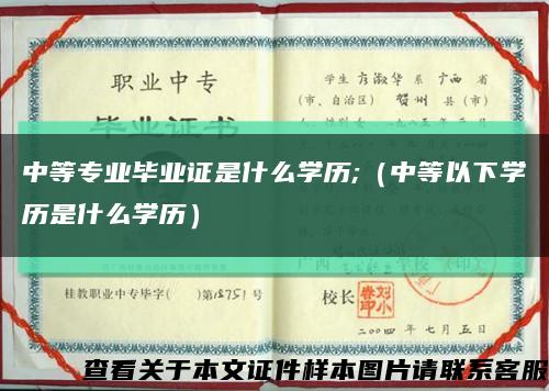 中等專業畢業證是什么學歷;（中等以下學歷是什么學歷）縮略圖