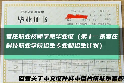 棗莊職業技師學院畢業證（第十一條棗莊科技職業學院招生專業和招生計劃）縮略圖