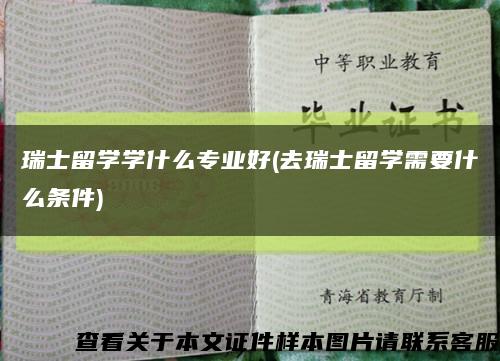 瑞士留學學什么專業好(去瑞士留學需要什么條件)縮略圖