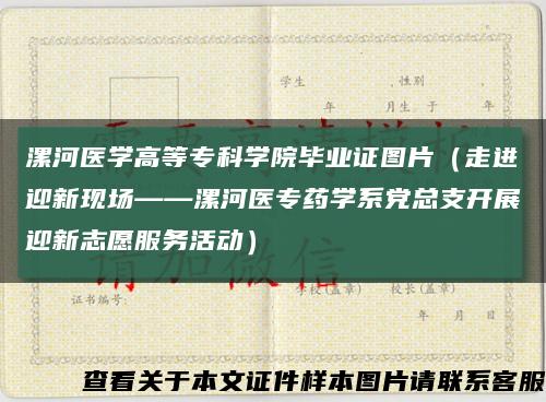 漯河醫學高等?？茖W院畢業證圖片（走進迎新現場——漯河醫專藥學系黨總支開展迎新志愿服務活動）縮略圖