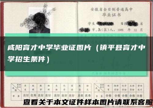 咸陽育才中學畢業證圖片（鎮平縣育才中學招生條件）縮略圖