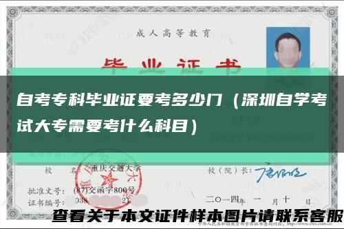 自考?？飘厴I證要考多少門（深圳自學考試大專需要考什么科目）縮略圖