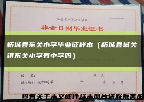 柘城縣東關小學畢業證樣本（柘城縣城關鎮東關小學有中學嗎）縮略圖