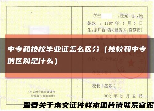 中專和技校畢業證怎么區分（技校和中專的區別是什么）縮略圖