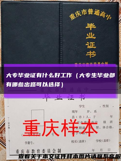 大專畢業證有什么好工作（大專生畢業都有哪些出路可以選擇）縮略圖