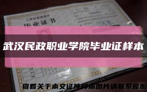 武漢民政職業學院畢業證樣本縮略圖