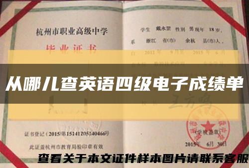 從哪兒查英語四級電子成績單縮略圖
