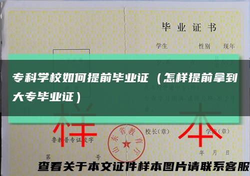 ?？茖W校如何提前畢業證（怎樣提前拿到大專畢業證）縮略圖