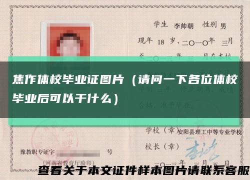 焦作體校畢業證圖片（請問一下各位體校畢業后可以干什么）縮略圖