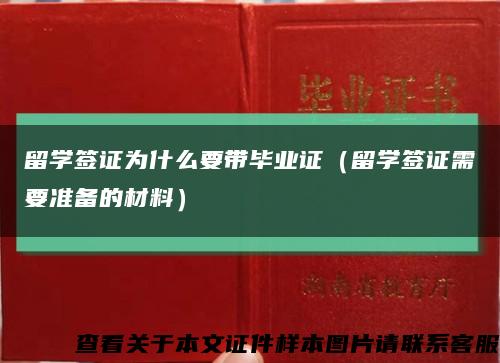 留學簽證為什么要帶畢業證（留學簽證需要準備的材料）縮略圖