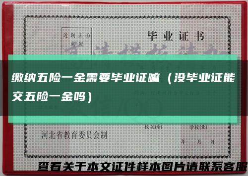 繳納五險一金需要畢業證嘛（沒畢業證能交五險一金嗎）縮略圖