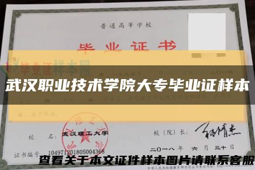 武漢職業技術學院大專畢業證樣本縮略圖