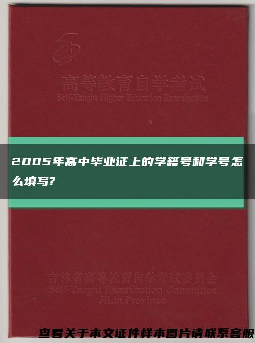 2005年高中畢業證上的學籍號和學號怎么填寫?縮略圖