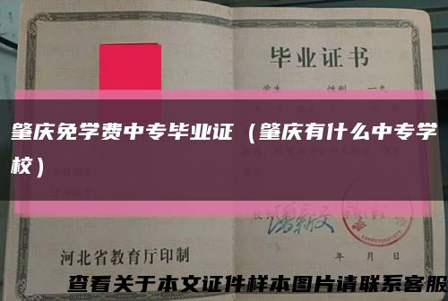 肇慶免學費中專畢業證（肇慶有什么中專學校）縮略圖