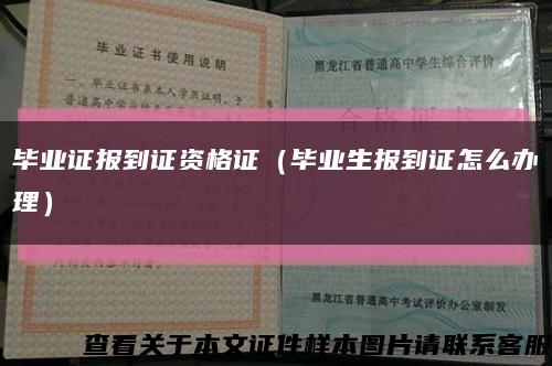 畢業證報到證資格證（畢業生報到證怎么辦理）縮略圖