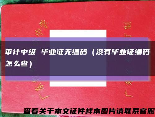審計中級 畢業證無編碼（沒有畢業證編碼怎么查）縮略圖