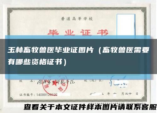 玉林畜牧獸醫畢業證圖片（畜牧獸醫需要有哪些資格證書）縮略圖