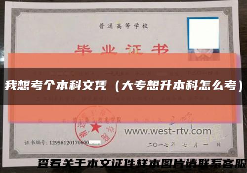 我想考個本科文憑（大專想升本科怎么考）縮略圖