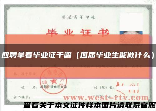 應聘拿著畢業證干嘛（應屆畢業生能做什么）縮略圖