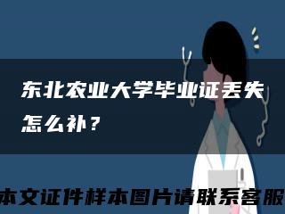 東北農業大學畢業證丟失怎么補？縮略圖