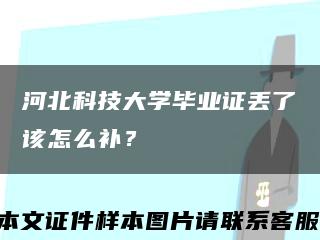 河北科技大學畢業證丟了該怎么補？縮略圖