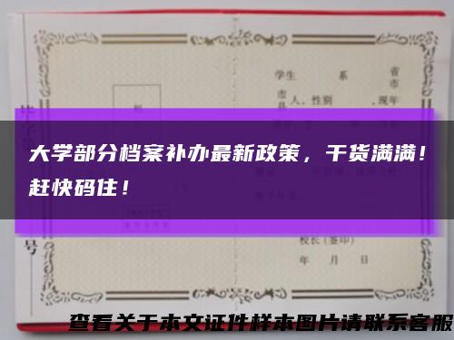 大學部分檔案補辦最新政策，干貨滿滿！趕快碼??！縮略圖