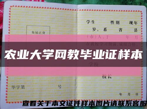 農業大學網教畢業證樣本縮略圖