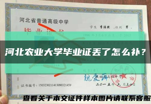 河北農業大學畢業證丟了怎么補？縮略圖