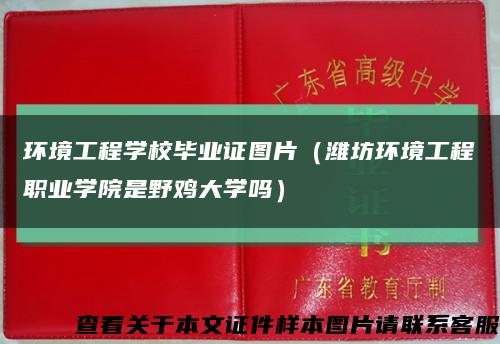環境工程學校畢業證圖片（濰坊環境工程職業學院是野雞大學嗎）縮略圖